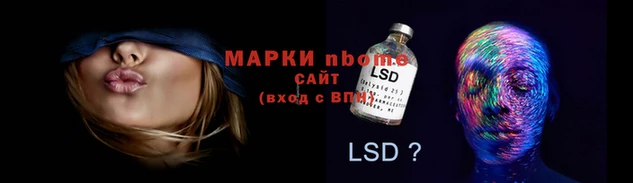 твердый Новодвинск