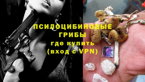 ГАЛЛЮЦИНОГЕННЫЕ ГРИБЫ Новокубанск