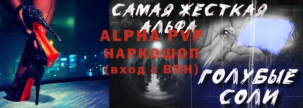 твердый Новодвинск