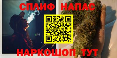 молекула духа Гатчина
