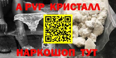 ECSTASY Гай