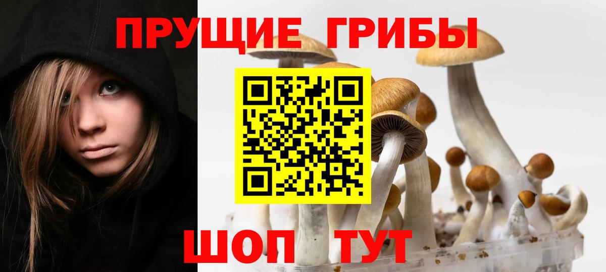 Галлюциногенные грибы Psilocybine cubensis Зеленодольск
